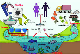 Microplastics in food