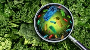Investigating a food poisoning outbreak