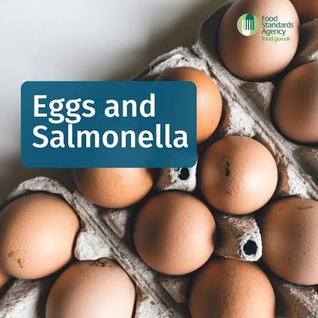 Eggs - Salmonella Contamination, Pasteurization and more..